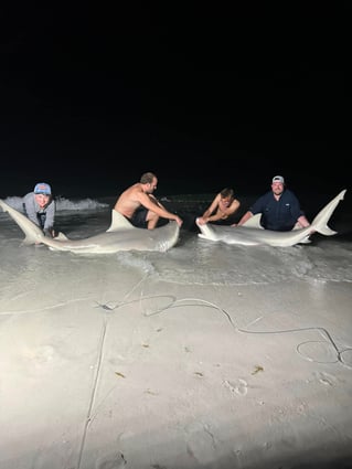 St Pete Surf Fishing