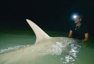 St Pete Surf Fishing