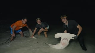 St Pete Surf Fishing