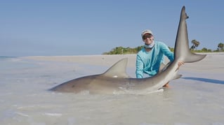 St Pete Surf Fishing