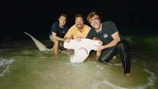 St Pete Surf Fishing