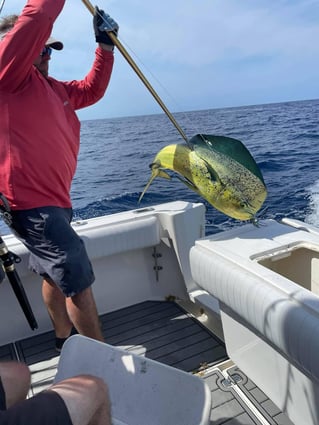 Cape Lookout Custom Charter