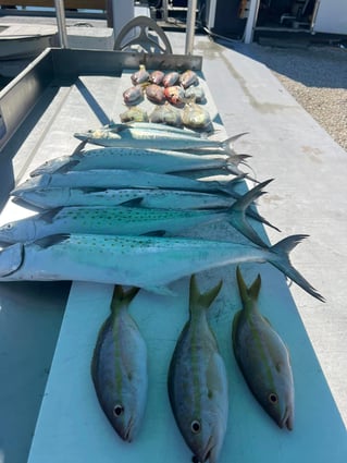 Marathon Fishing Extraordinaire