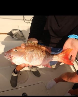 Offshore Fishing Jupiter