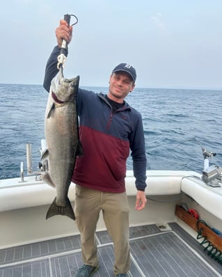 Grand Traverse Bay Salmon And Lake Trout