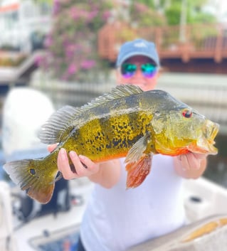 Catch and Release Big Exotics