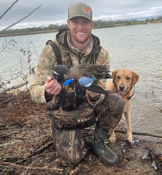 Early Season Texas Teal Hunt
