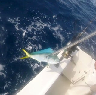 Fishing Charters North Carolina