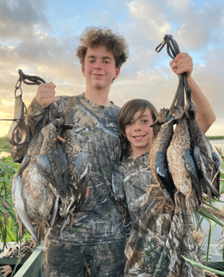 Early Season Teal With LODGING