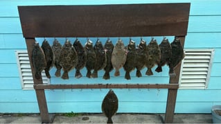 POC Flounder Gigging