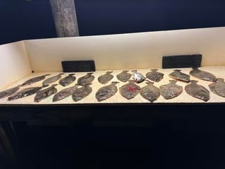 POC Flounder Gigging