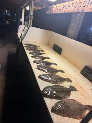 POC Flounder Gigging