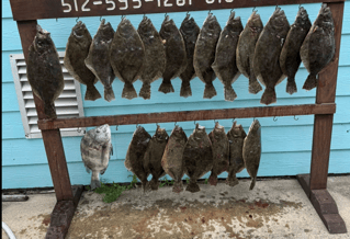POC Flounder Gigging