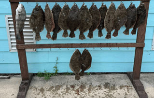 POC Flounder Gigging