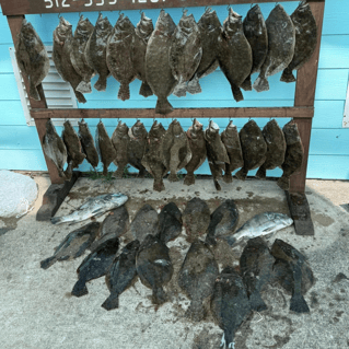 POC Flounder Gigging