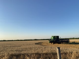 Guided TX Public Land Duck Hunt