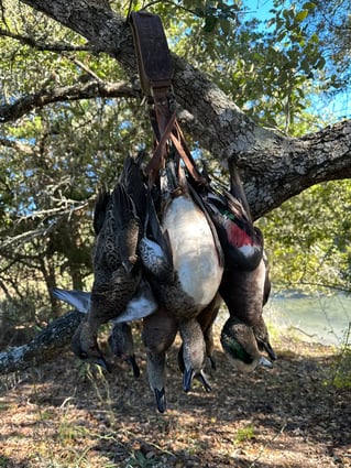 Guided TX Public Land Duck Hunt