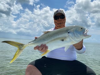 Jack Crevalle Fishing in Key Biscayne, Florida