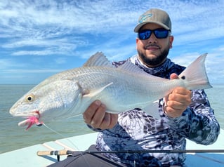 Redfish Fishing in Key Biscayne, Florida