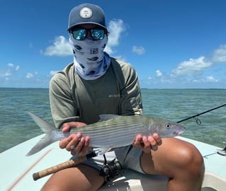 Inshore / Backcountry Light Tackle Fishing