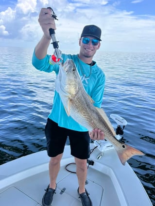 Redfish Fishing in Dauphin Island, Alabama