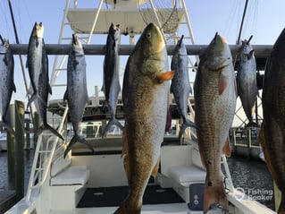 Redfish, Spanish Mackerel Fishing in Biloxi, Mississippi