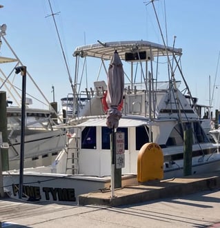 Biloxi Inshore/Nearshore Trip
