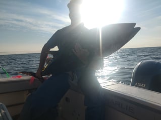 Cape Cod Offshore Trip