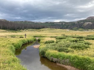 San Juan Quality Waters & Midriver