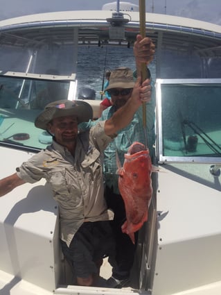 Full Day State Water Trip