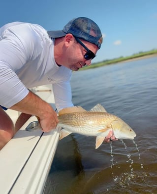 4-8 Hour Inshore -  Pathfinder Charters
