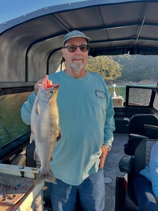 Steelhead in the Trinity River