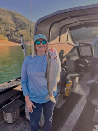 Steelhead in the Trinity River