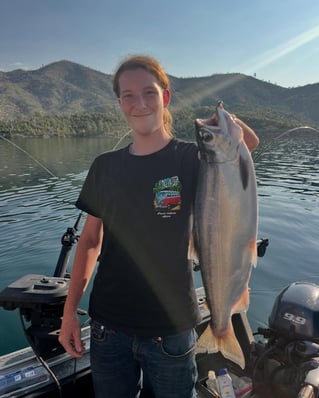Steelhead in the Trinity River