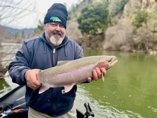 Rainbow Trout Fishing in Douglas City, California