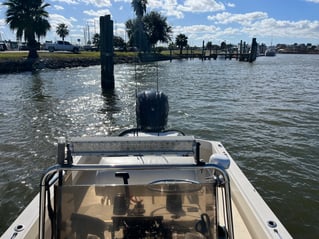 Galveston Bay: Bay/Jetty Trip