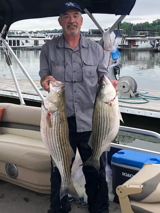 East Lake Cumberland Striped Bass