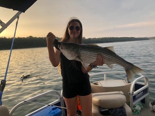 East Lake Cumberland Striped Bass