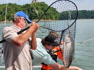 East Lake Cumberland Striped Bass