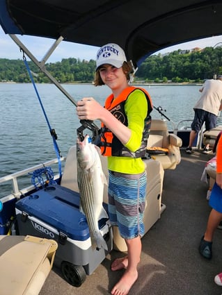 East Lake Cumberland Striped Bass