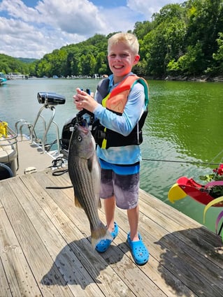 East Lake Cumberland Striped Bass