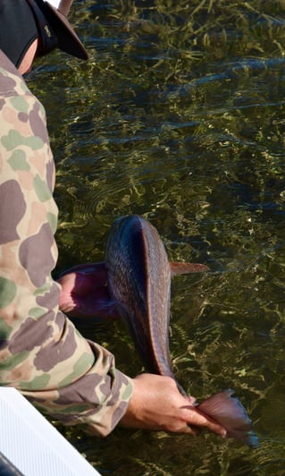 Laguna Madre Flats Fly/Light Tackle