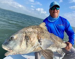 Black Drum Fishing in South Padre Island, Texas