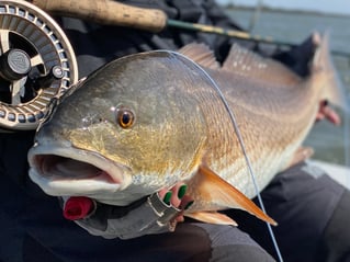 The Best Fly Fishing New Orleans