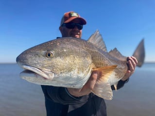The Best Fly Fishing New Orleans