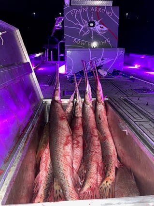 "So Much Room for Activities"