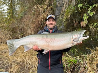 Winter Steelhead on the Siletz