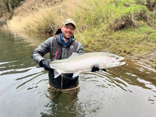 Winter Steelhead on the Siletz