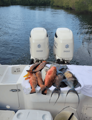 Cayman Inshore Fishing Experience