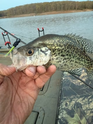 Crappie fishing on Mark Twain Lake